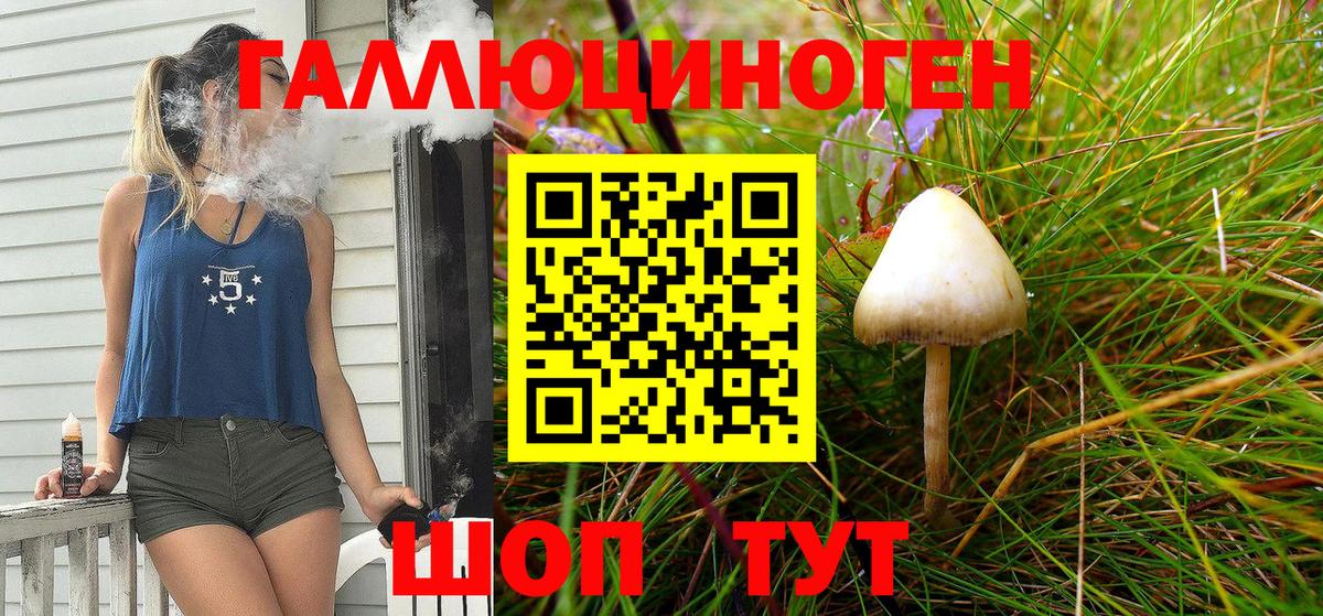 сколько стоит  Псилоцибиновые грибы мухоморы  Вход с VPN  Барабинск 